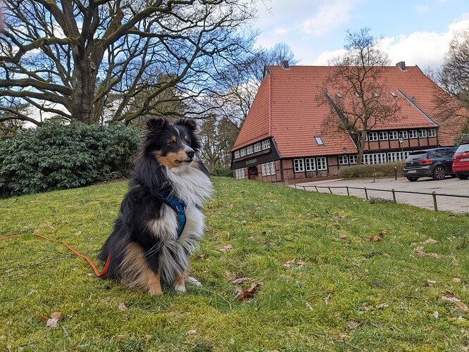 PXL_20220305_145754514