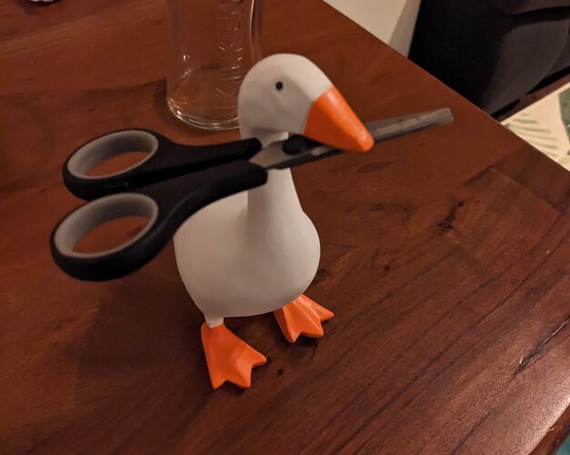 PXL_20231219_230647159