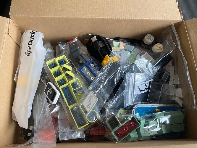 22-03-03 08-49-44 2049