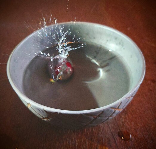 DSC_0016_BURST20220704181709310_exported_1656951566628_1