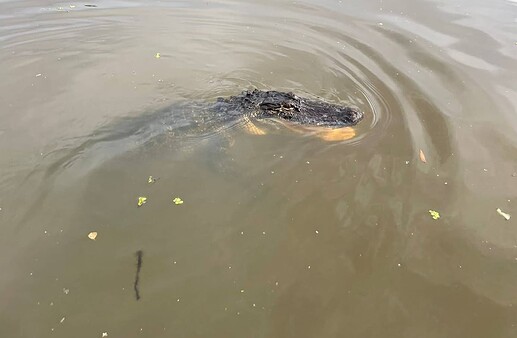 Screenshot 2022-05-07 at 18.45.46