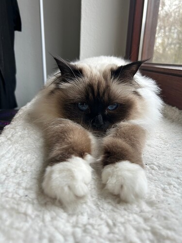 23-03-30 09-53-44 5240