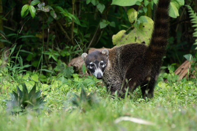 IMG-20220203-WA0000(1)