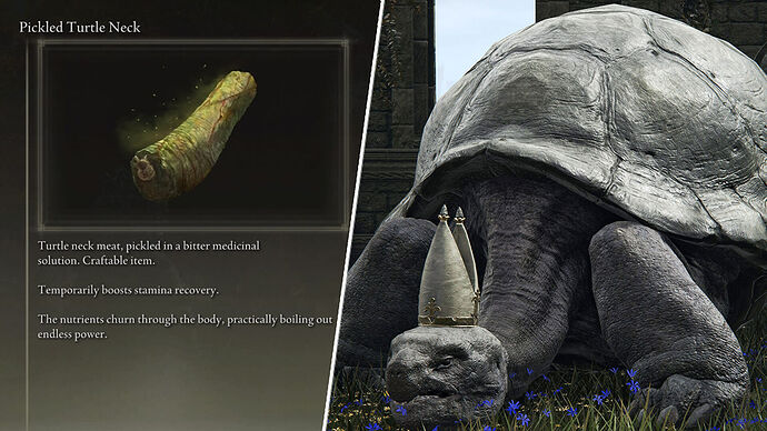 elden-ring-turtle-power