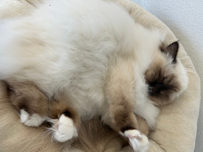 23-04-03 14-46-17 5261